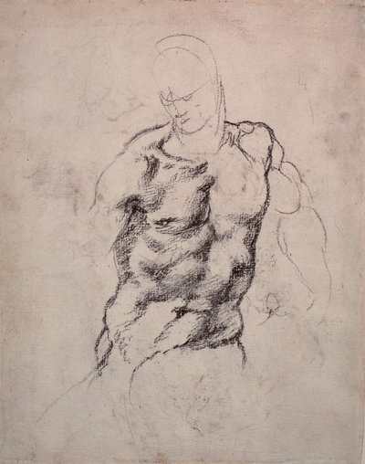 Figure Study by Michelangelo Buonarroti